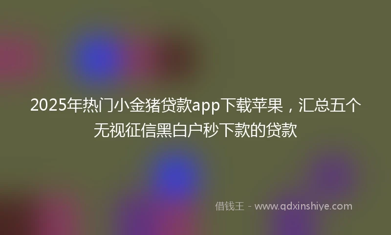 2025年热门小金猪贷款app下载苹果，汇总五个无视征信黑白户秒下款的贷款