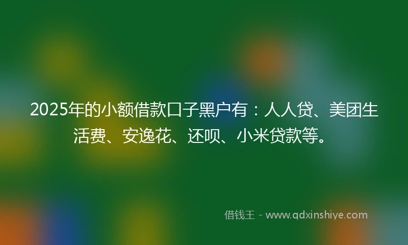 2025年的小额借款口子黑户有：人人贷、美团生活费、安逸花、还呗、小米贷款等。