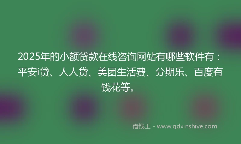 2025年的小额贷款在线咨询网站有哪些软件有：平安i贷、人人贷、美团生活费、分期乐、百度有钱花等。