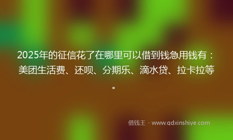 2025年的征信花了在哪里可以借到钱急用钱有：美团生活费、还呗、分期乐、滴水贷、拉卡拉等。