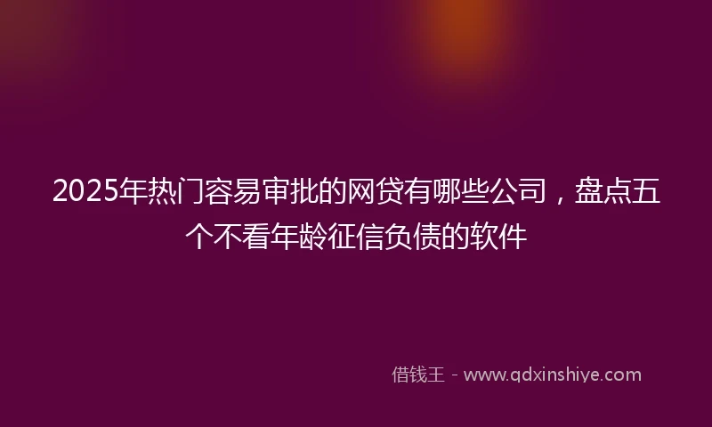 2025年热门容易审批的网贷有哪些公司，盘点五个不看年龄征信负债的软件