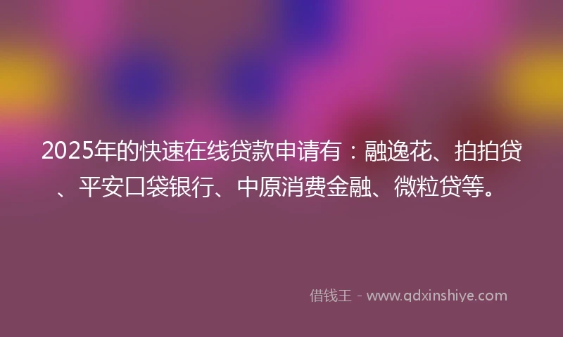 2025年的快速在线贷款申请有：融逸花、拍拍贷、平安口袋银行、中原消费金融、微粒贷等。