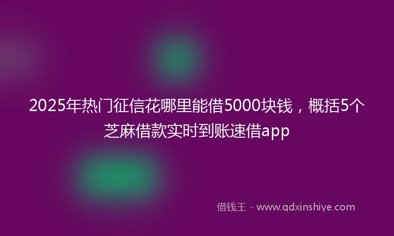 2025年热门征信花哪里能借5000块钱，概括5个芝麻借款实时到账速借app