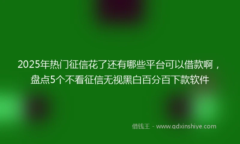 2025年热门征信花了还有哪些平台可以借款啊，盘点5个不看征信无视黑白百分百下款软件