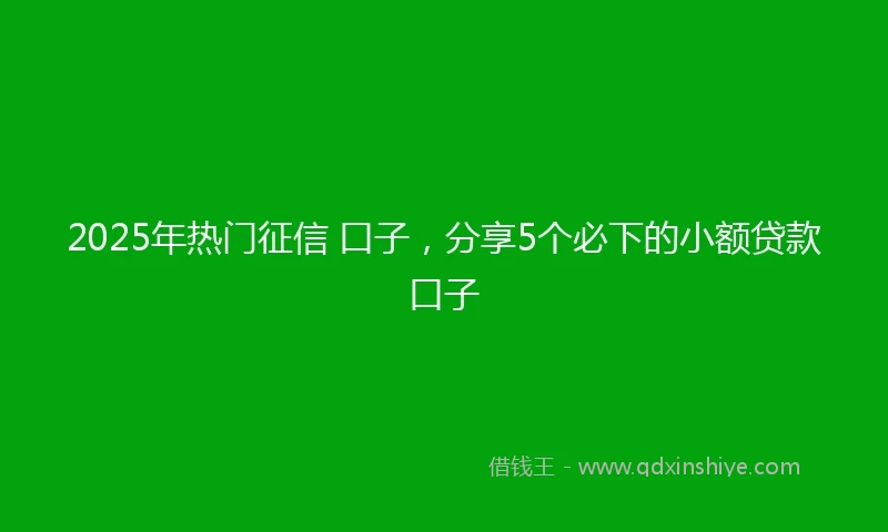 2025年热门征信 口子，分享5个必下的小额贷款口子