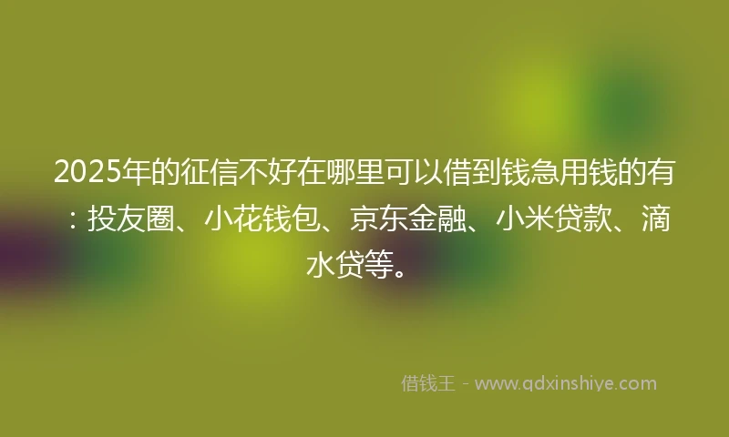 2025年的征信不好在哪里可以借到钱急用钱的有：投友圈、小花钱包、京东金融、小米贷款、滴水贷等。