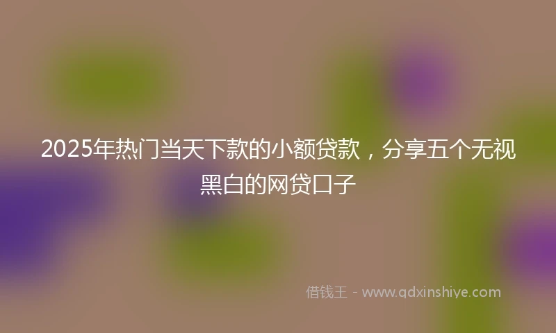 2025年热门当天下款的小额贷款，分享五个无视黑白的网贷口子