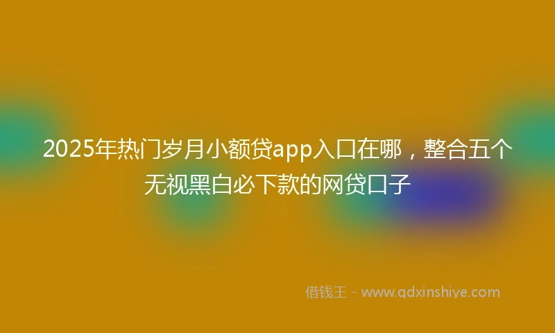 2025年热门岁月小额贷app入口在哪，整合五个无视黑白必下款的网贷口子