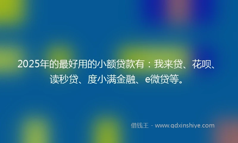 2025年的最好用的小额贷款有：我来贷、花呗、读秒贷、度小满金融、e微贷等。
