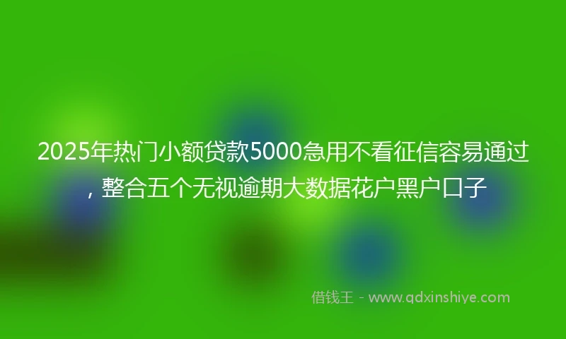 2025年热门小额贷款5000急用不看征信容易通过，整合五个无视逾期大数据花户黑户口子