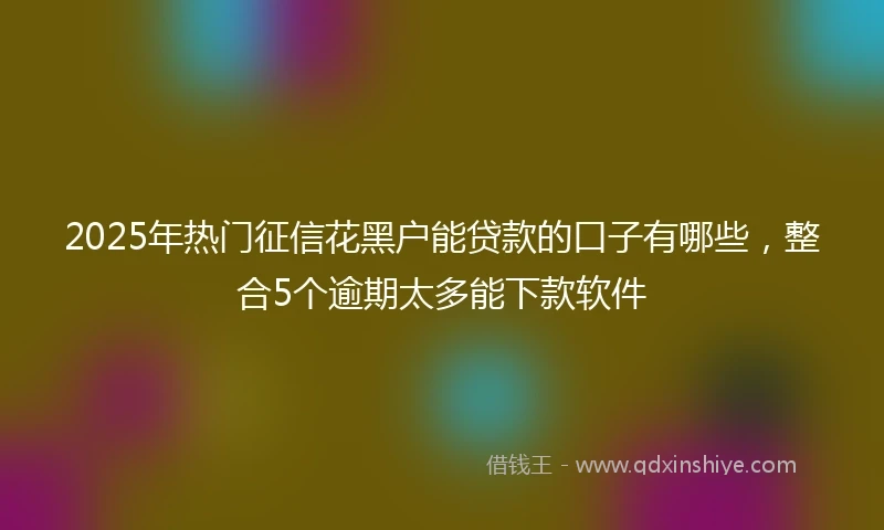 2025年热门征信花黑户能贷款的口子有哪些，整合5个逾期太多能下款软件