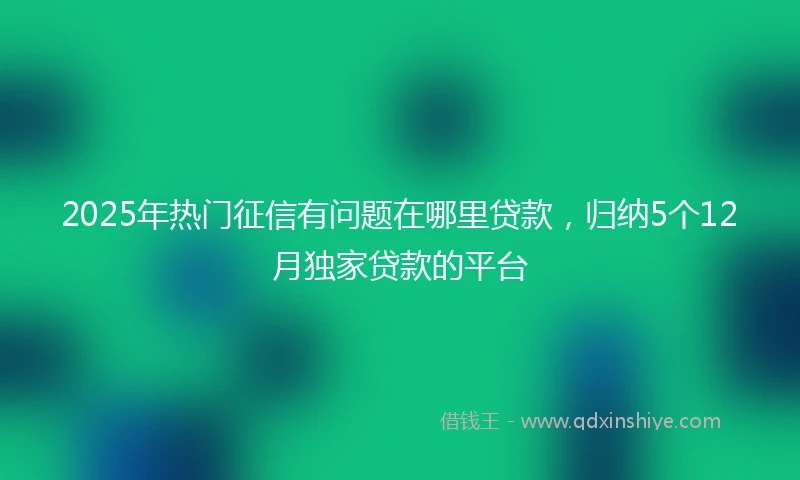 2025年热门征信有问题在哪里贷款，归纳5个12月独家贷款的平台