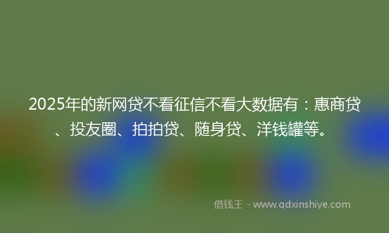 2025年的新网贷不看征信不看大数据有：惠商贷、投友圈、拍拍贷、随身贷、洋钱罐等。