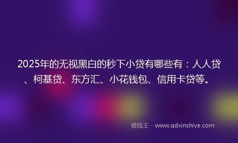 2025年的无视黑白的秒下小贷有哪些有：人人贷、柯基贷、东方汇、小花钱包、信用卡贷等。