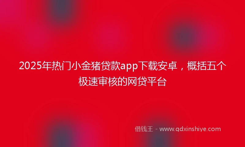 2025年热门小金猪贷款app下载安卓，概括五个极速审核的网贷平台