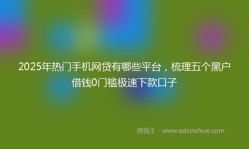 2025年热门手机网贷有哪些平台，梳理五个黑户借钱0门槛极速下款口子