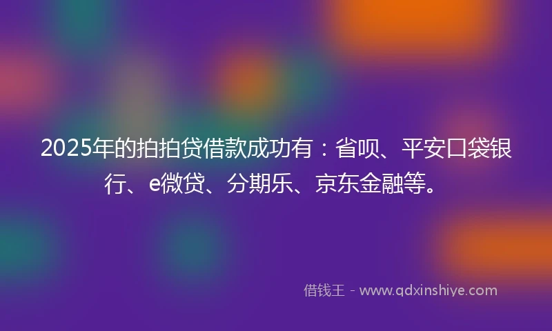 2025年的拍拍贷借款成功有：省呗、平安口袋银行、e微贷、分期乐、京东金融等。