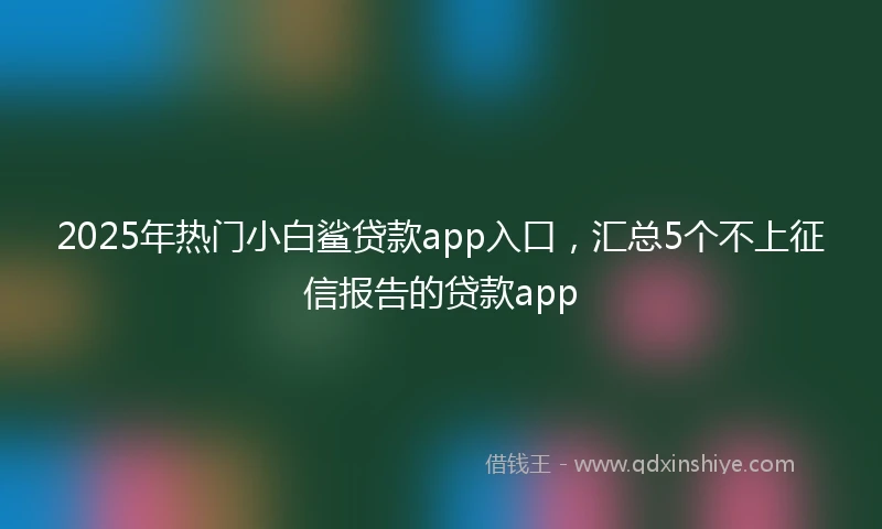 2025年热门小白鲨贷款app入口，汇总5个不上征信报告的贷款app