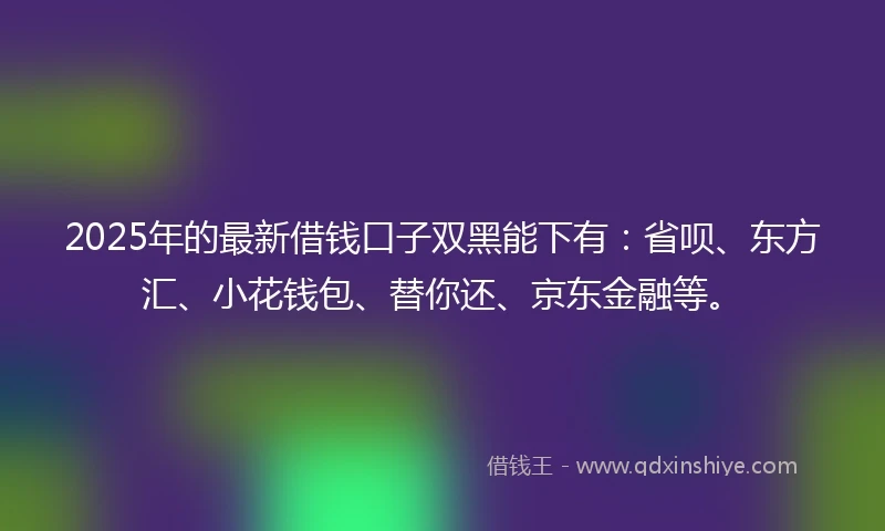 2025年的最新借钱口子双黑能下有：省呗、东方汇、小花钱包、替你还、京东金融等。