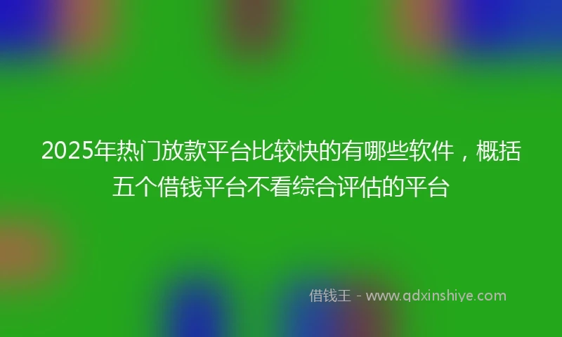2025年热门放款平台比较快的有哪些软件，概括五个借钱平台不看综合评估的平台