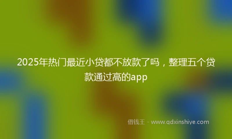 2025年热门最近小贷都不放款了吗，整理五个贷款通过高的app