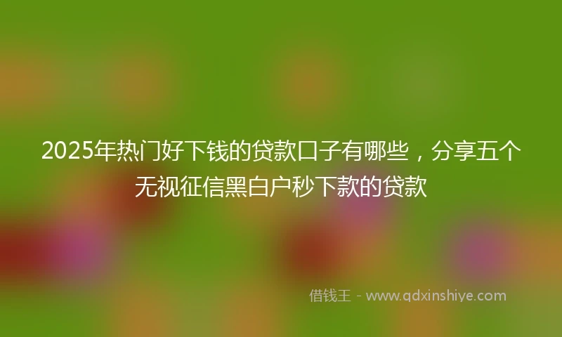 2025年热门好下钱的贷款口子有哪些，分享五个无视征信黑白户秒下款的贷款