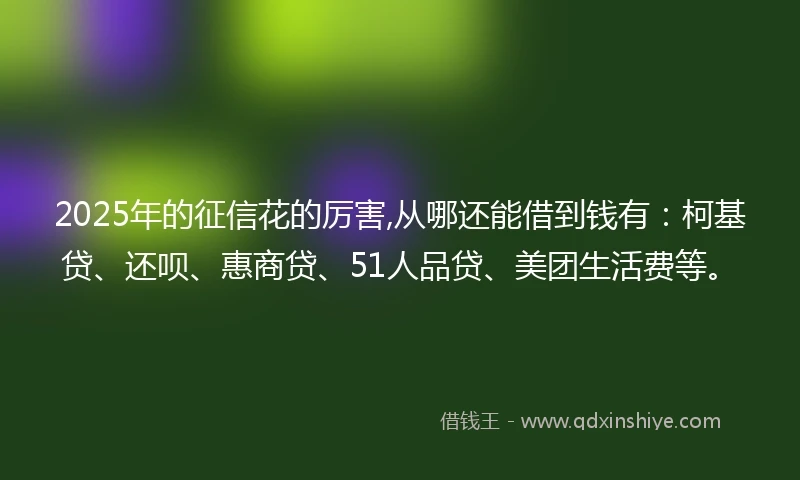 2025年的征信花的厉害,从哪还能借到钱有：柯基贷、还呗、惠商贷、51人品贷、美团生活费等。