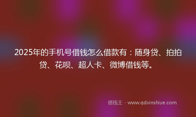 2025年的手机号借钱怎么借款有：随身贷、拍拍贷、花呗、超人卡、微博借钱等。