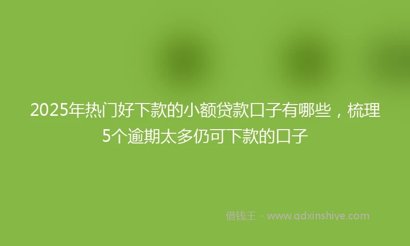 2025年热门好下款的小额贷款口子有哪些，梳理5个逾期太多仍可下款的口子