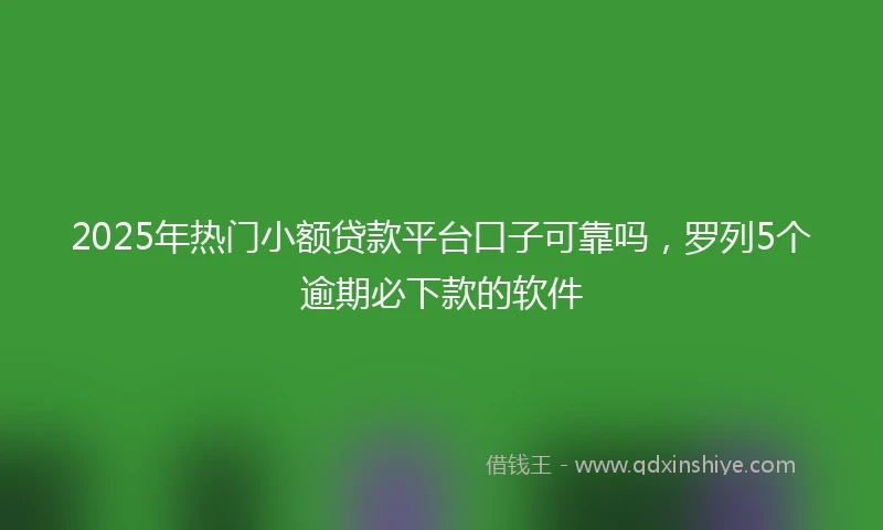 2025年热门小额贷款平台口子可靠吗，罗列5个逾期必下款的软件