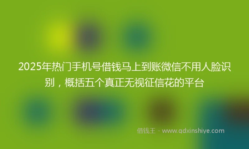 2025年热门手机号借钱马上到账微信不用人脸识别，概括五个真正无视征信花的平台