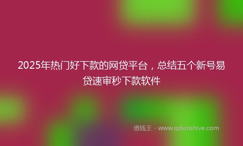 2025年热门好下款的网贷平台，总结五个新号易贷速审秒下款软件