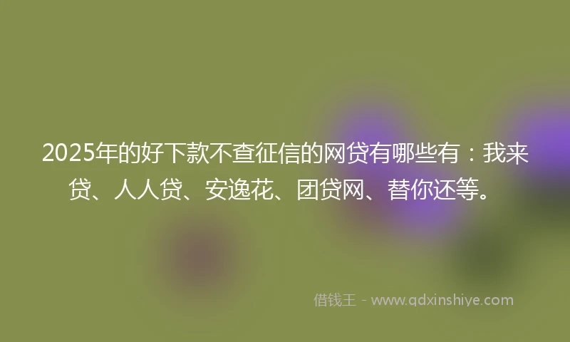 2025年的好下款不查征信的网贷有哪些有：我来贷、人人贷、安逸花、团贷网、替你还等。
