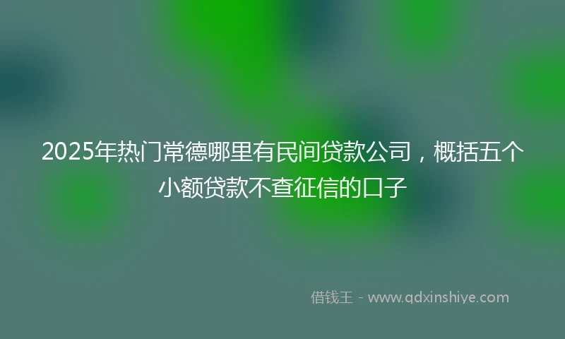 2025年热门常德哪里有民间贷款公司，概括五个小额贷款不查征信的口子