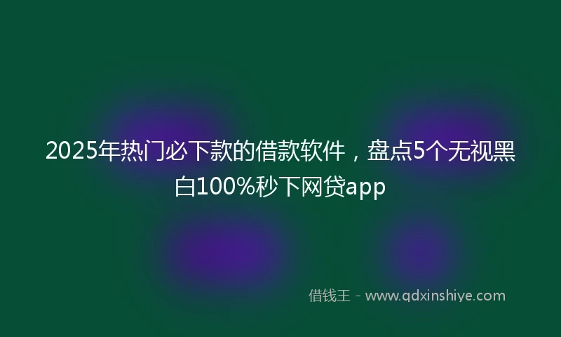 2025年热门必下款的借款软件，盘点5个无视黑白100%秒下网贷app