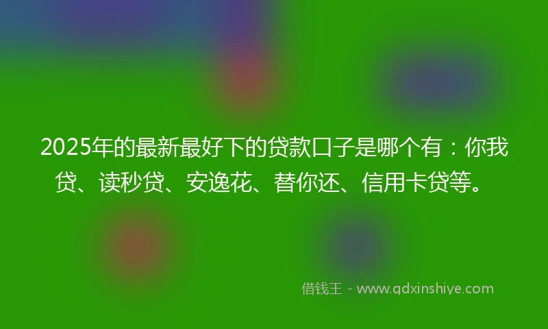 2025年的最新最好下的贷款口子是哪个有：你我贷、读秒贷、安逸花、替你还、信用卡贷等。