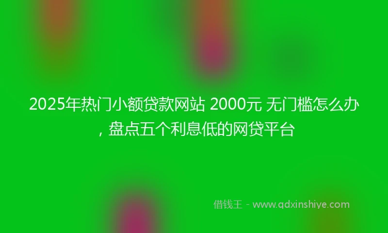 2025年热门小额贷款网站 2000元 无门槛怎么办，盘点五个利息低的网贷平台