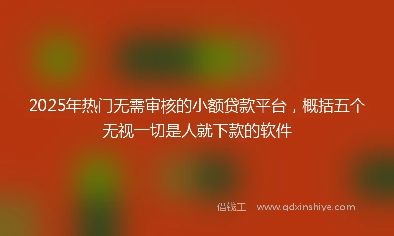 2025年热门无需审核的小额贷款平台，概括五个无视一切是人就下款的软件