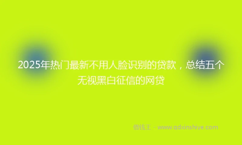 2025年热门最新不用人脸识别的贷款，总结五个无视黑白征信的网贷