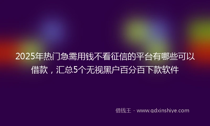 2025年热门急需用钱不看征信的平台有哪些可以借款，汇总5个无视黑户百分百下款软件