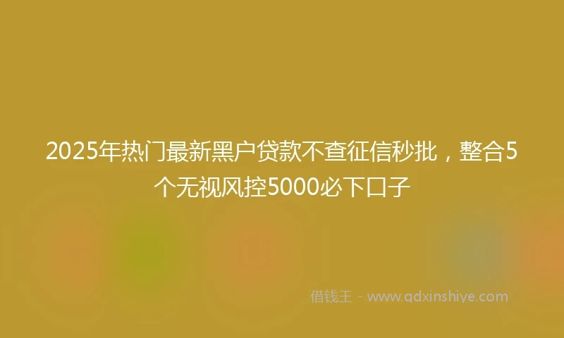 2025年热门最新黑户贷款不查征信秒批，整合5个无视风控5000必下口子