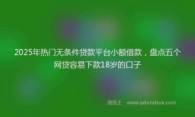 2025年热门无条件贷款平台小额借款，盘点五个网贷容易下款18岁的口子