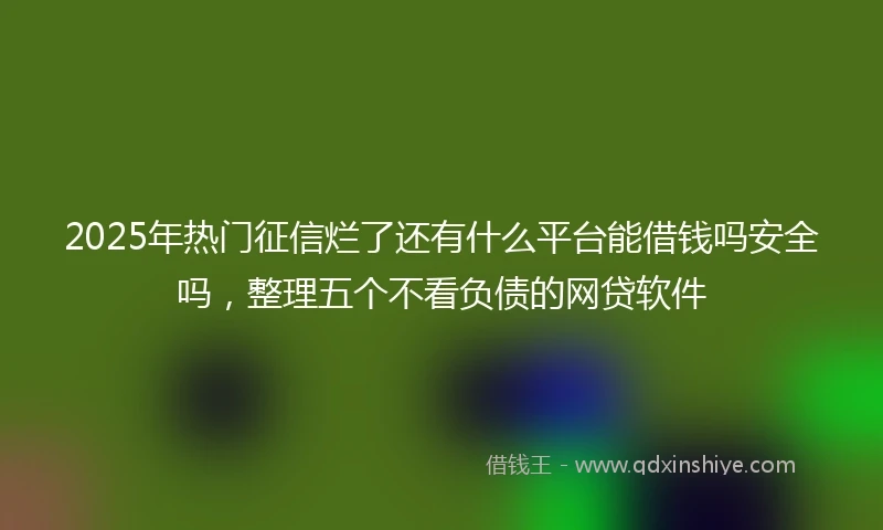 2025年热门征信烂了还有什么平台能借钱吗安全吗，整理五个不看负债的网贷软件