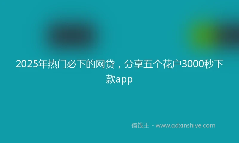 2025年热门必下的网贷，分享五个花户3000秒下款app