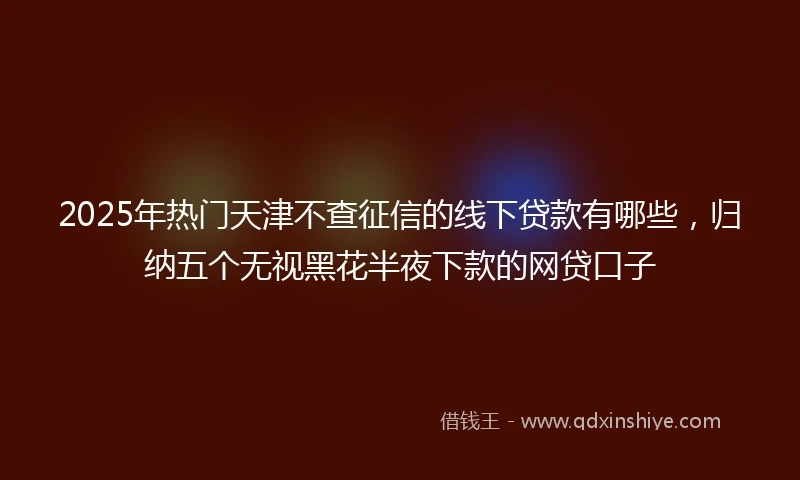 2025年热门天津不查征信的线下贷款有哪些，归纳五个无视黑花半夜下款的网贷口子