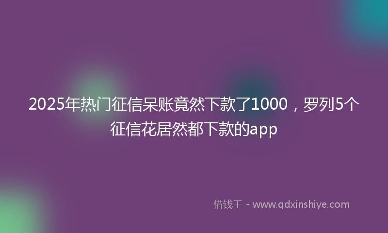2025年热门征信呆账竟然下款了1000，罗列5个征信花居然都下款的app