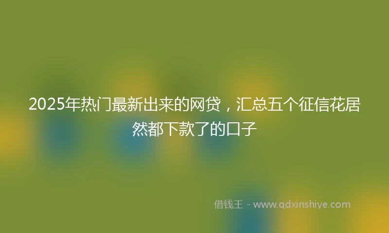 2025年热门最新出来的网贷，汇总五个征信花居然都下款了的口子