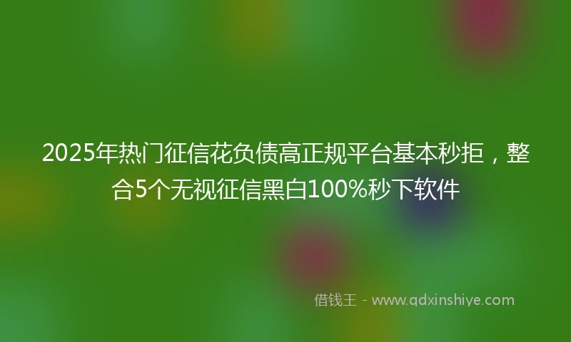 2025年热门征信花负债高正规平台基本秒拒，整合5个无视征信黑白100%秒下软件