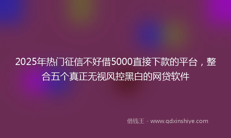 2025年热门征信不好借5000直接下款的平台，整合五个真正无视风控黑白的网贷软件