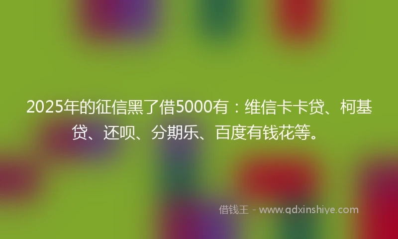 2025年的征信黑了借5000有：维信卡卡贷、柯基贷、还呗、分期乐、百度有钱花等。
